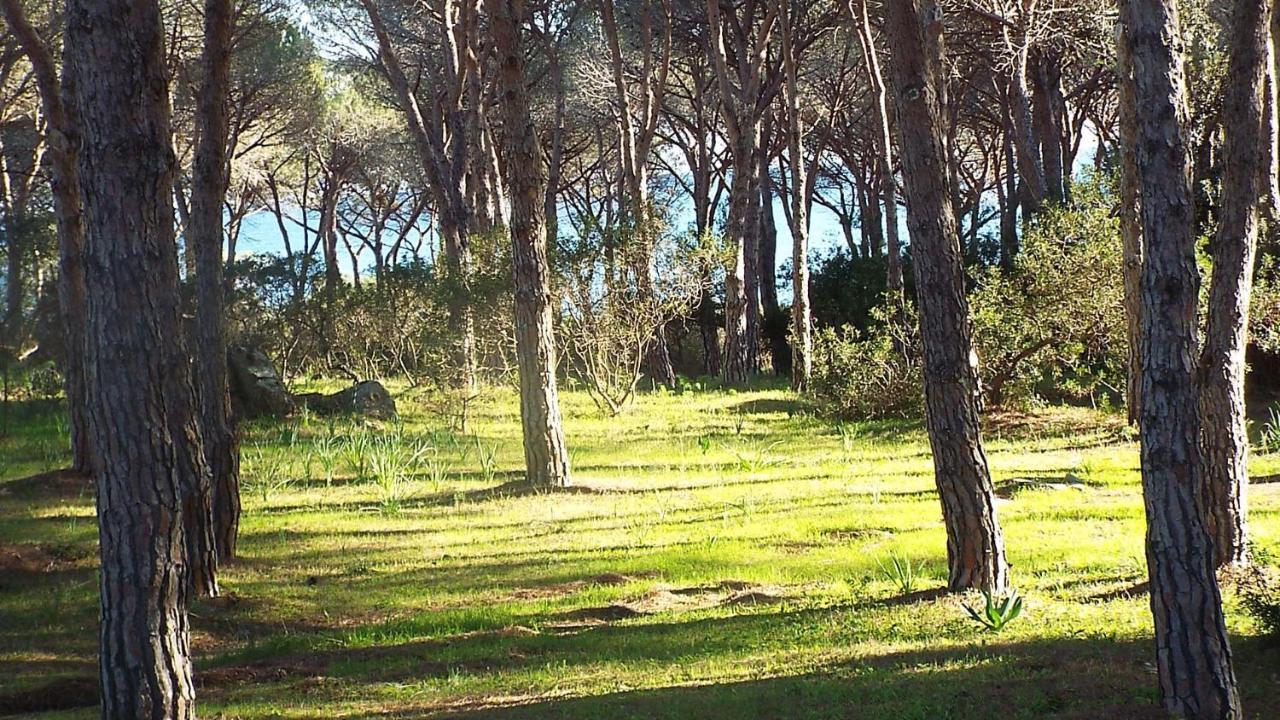 Villetta Con Giardino A Будоні Екстер'єр фото